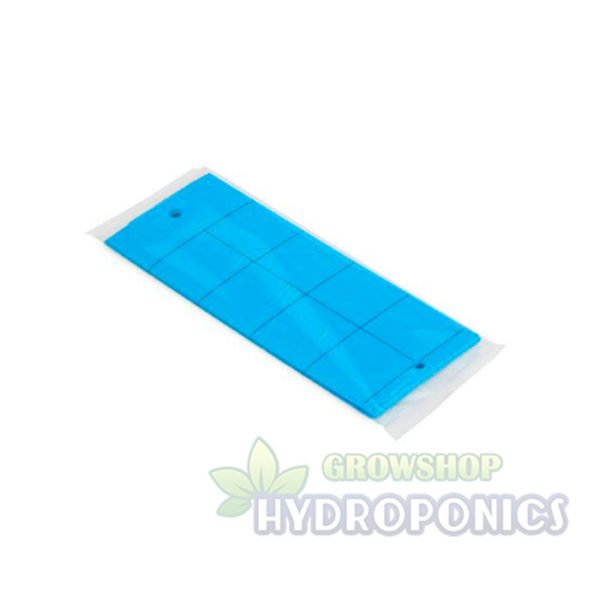 trampas adhesivas azules 10x25cm