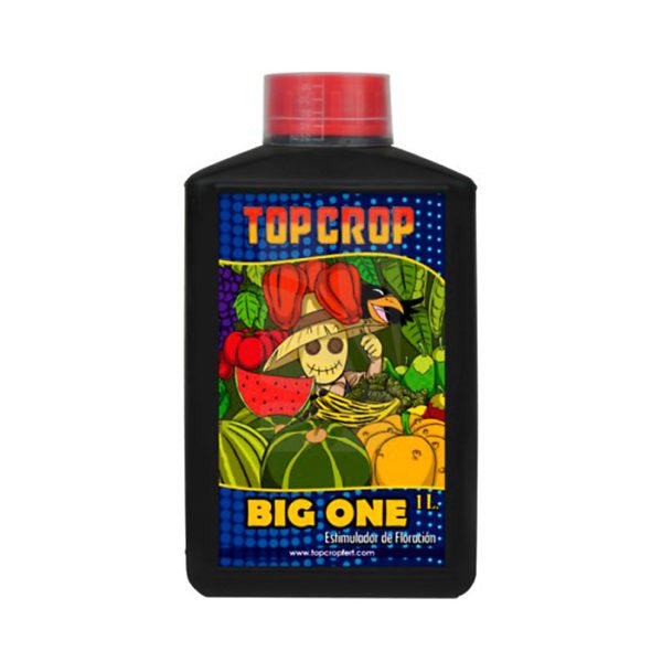 TCBO1